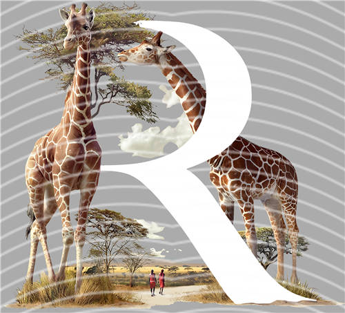 2025 latest edition-KNY 1162